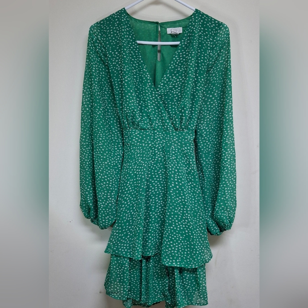 Japna Green Long Sleeve V-Neck Dress